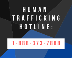 Human Trafficking Hotline Sticker